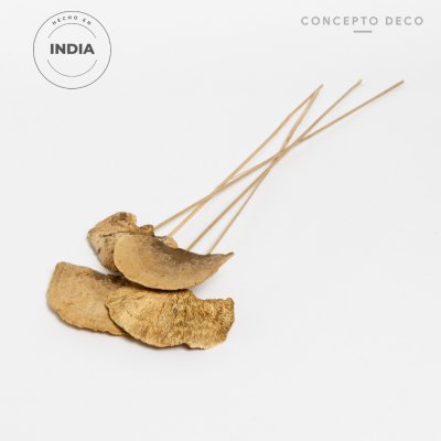 FLORES SECAS BOUQUET SPONGE MUSHROOM 69CM