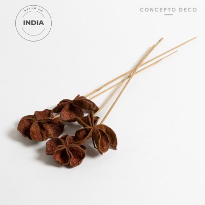 FLORES SECAS BOUQUET LOTO MARRON 60CM